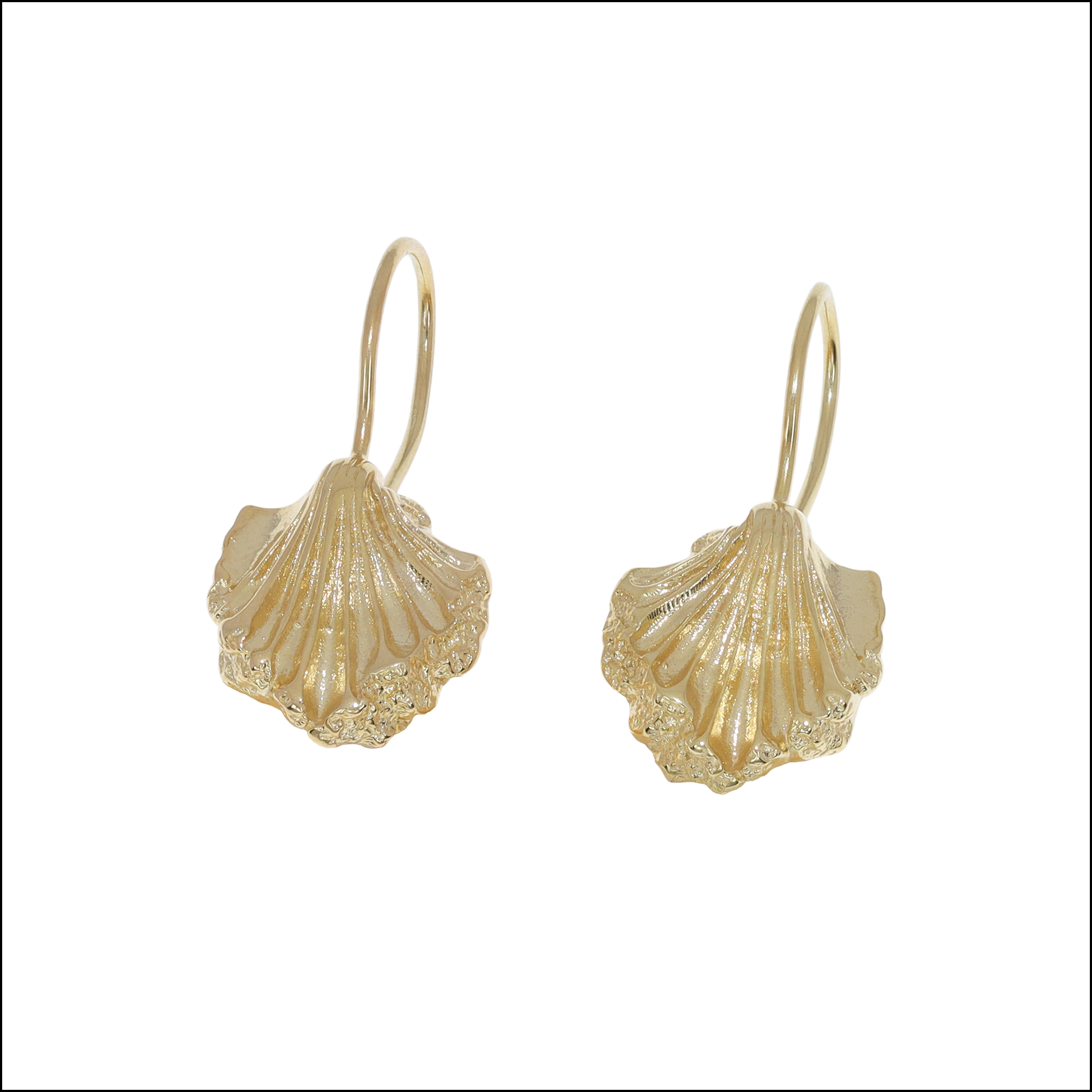 Pulsera Berenguela Shell